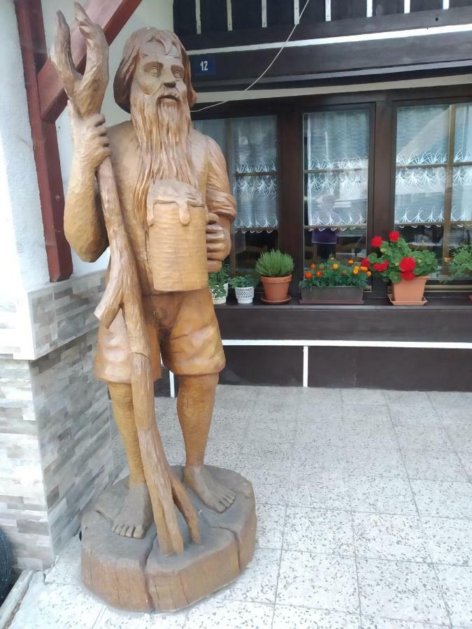 Ubytování Riegel Svoboda nad Úpou Esterno foto
